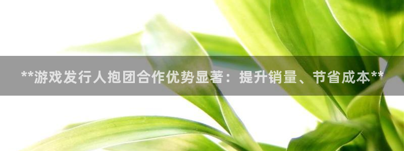 天辰娱乐是天系列吗：**游戏发行人抱团合作优势显著：提升销量、节省成本**