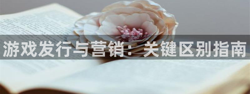 天辰平台怎么样可靠吗知乎：游戏发行与营销：关键区别指南