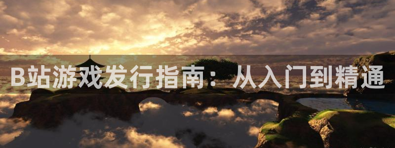天辰平台怎么样赚钱快：B站游戏发行指南：从入门到精通