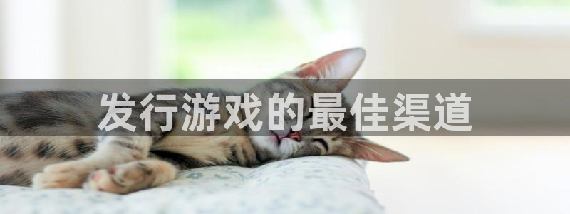 天辰平台注册登录地址：发行游戏的最佳渠道