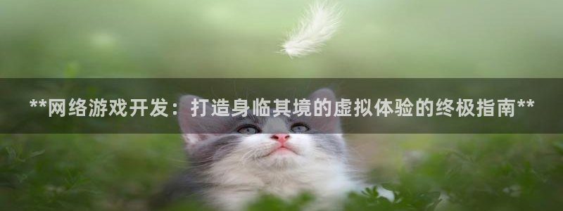 天辰平台用户登录：**网络游戏开发：打造身临其境的虚拟体验的终极指南**
