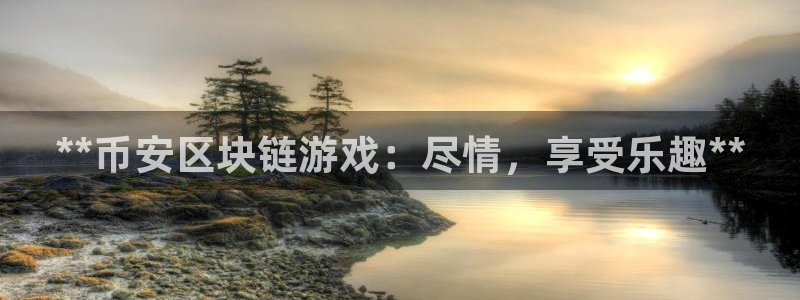 天辰平台用户登录不了怎么回事