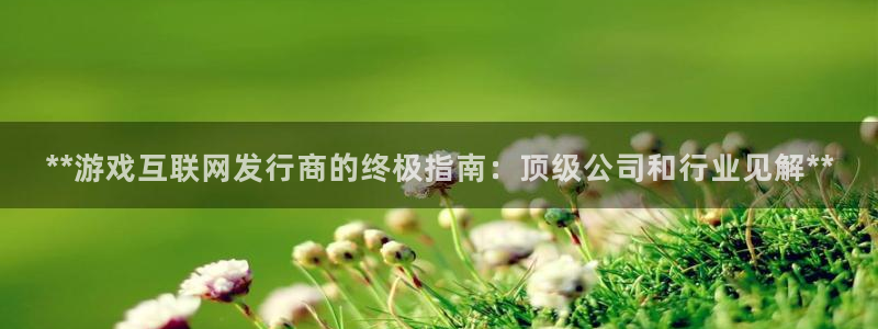 天辰平台用户注册怎么注销：**游戏互联网发行商的终极指南：顶级公司和行业见解**