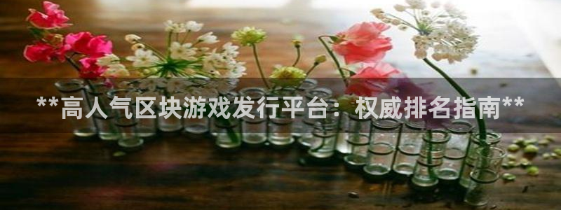 天辰测绘有限公司怎么样：**高人气区块游戏发行平台：权威排名指南**