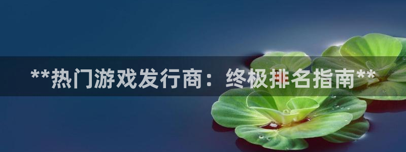天辰171：**热门游戏发行商：终极排名指南**