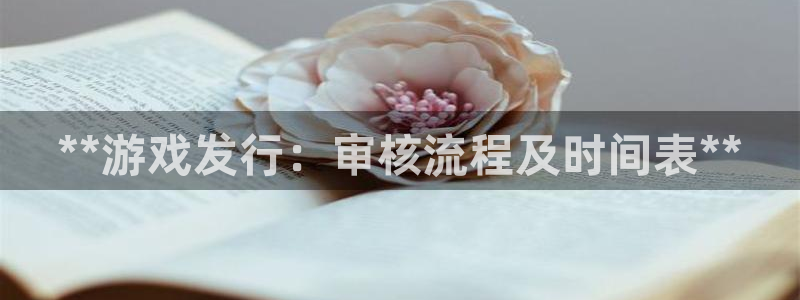 天辰注册链接：**游戏发行：审核流程及时间表**