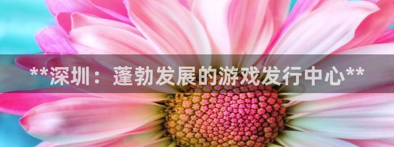 天辰平台链接怎么打开：**深圳：蓬勃发展的游戏发行中心**