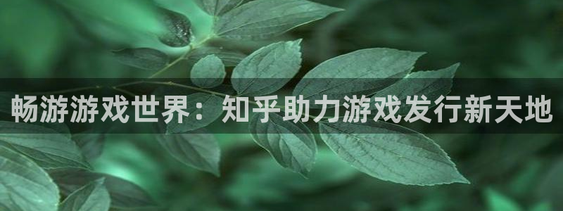 天辰平台用户登录入口在哪：畅游游戏世界：知乎助力游戏发行新天地