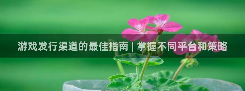天辰娱乐百度百科官网：游戏发行渠道的最佳指南 | 掌握不同平台和策略