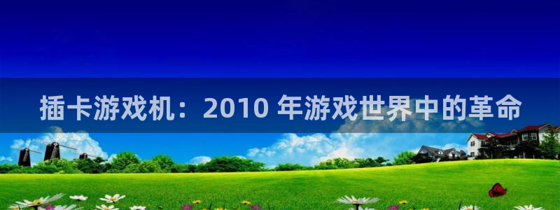 天辰娱乐都是干什么的呀：插卡游戏机：2010 年游戏世界中的革命