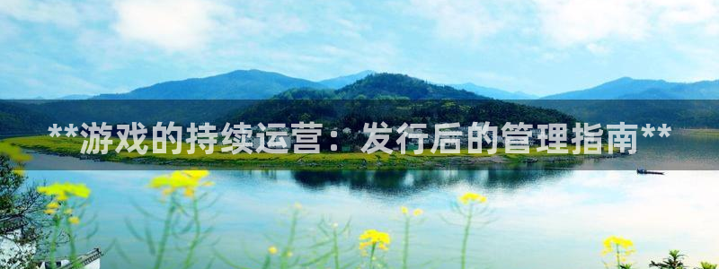 天辰平台注册地址在哪：**游戏的持续运营：发行后的管理指南**