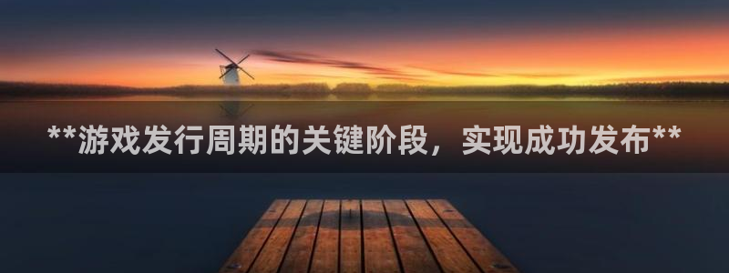 天辰建设网项目会员收费标准：**游戏发行周期的关键阶段，实现成功发布**