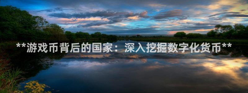 天辰平台联 5O6917 平台：**游戏币背后的国家：深入挖掘数字化货币**
