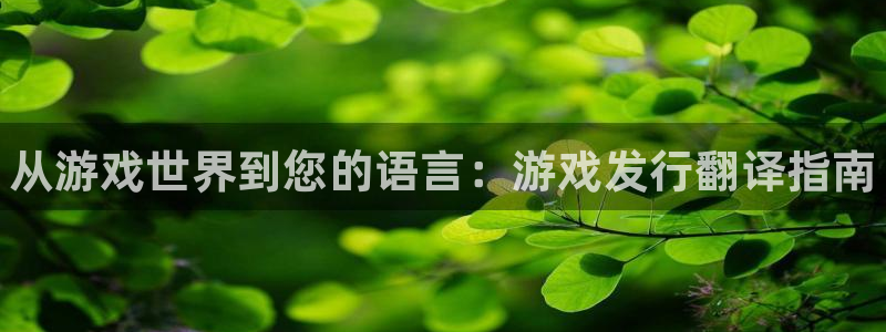 天辰平台注册地址：从游戏世界到您的语言：游戏发行翻译指南