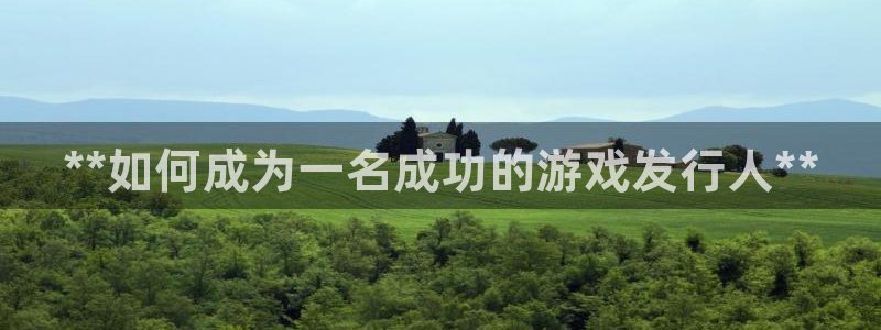 天辰会员注册链接在哪：**如何成为一名成功的游戏发行人**