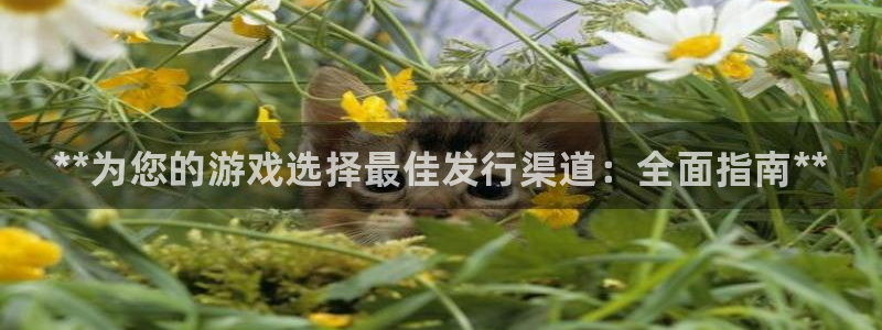 天辰平台想 58534I 平台：**为您的游戏选择最佳发行渠道：全面指南**