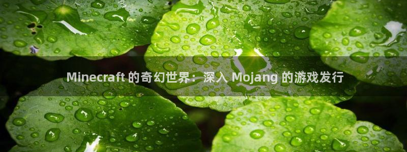 天辰团队玩彩平台是真的吗