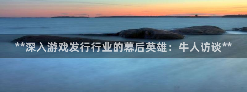 天辰平台取7O777：**深入游戏发行行业的幕后英雄：牛人访谈**