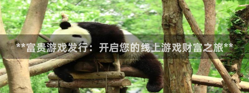 天辰信息：**富贵游戏发行：开启您的线上游戏财富之旅**