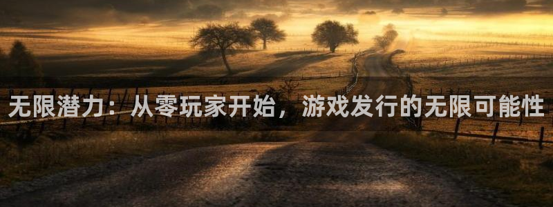 天辰平台注册你的专属平台入口：无限潜力：从零玩家开始，游戏发行的无限可能性