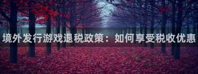 天辰平台注册登录地址怎么改：境外发行游戏退税政策：如何享受税收优惠