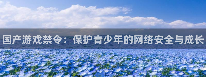 天辰平台注册地址怎么改不了：国产游戏禁令：保护青少年的网络安全与成长