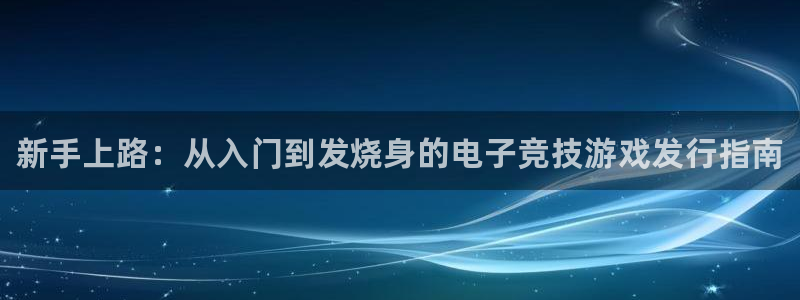 浙江天辰测控科技有限公司：新手上路：从入门到发烧身的电子竞技游戏发行指南