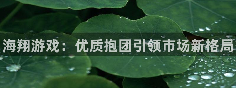 天辰注册链接是什么