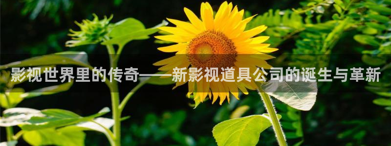 五月色婷婷影院：影视世界里的传奇——新影视道具公司的诞生与革新