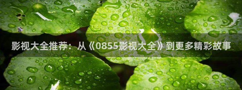奇米影视第四色婷婷