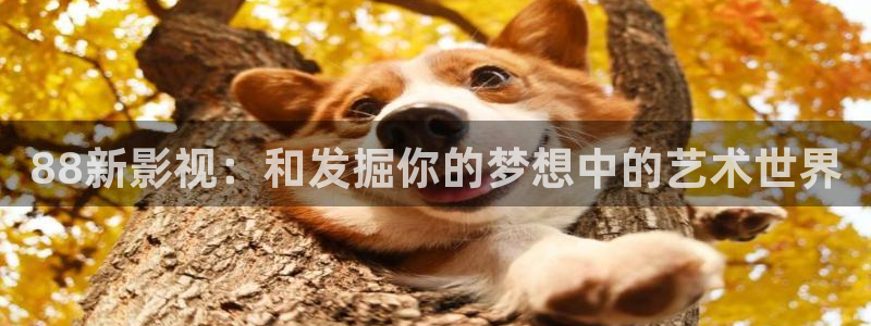 五月色婷婷在线影院