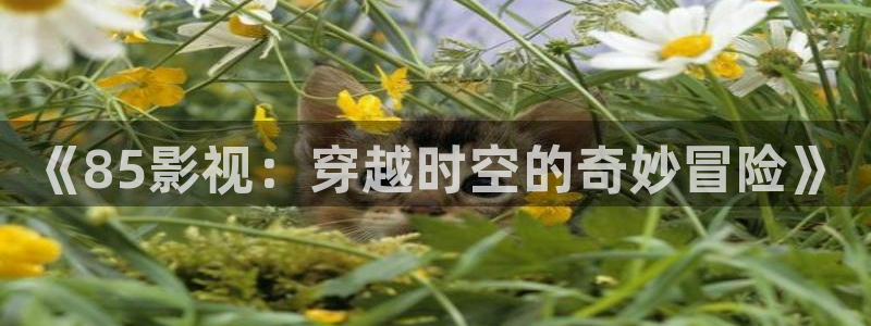 色婷婷影院影院