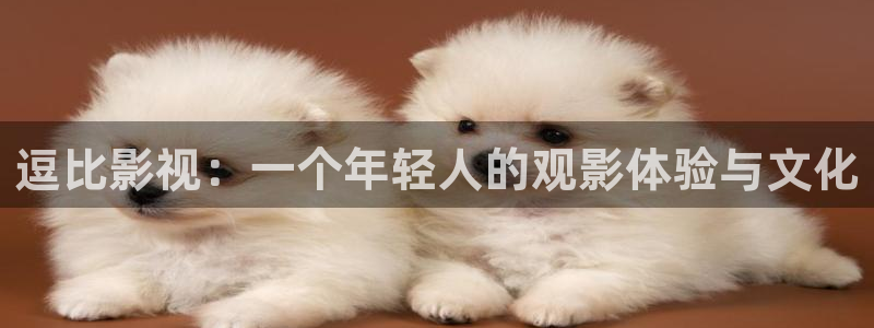 99影院色婷婷：逗比影视：一个年轻人的观影体验与文化