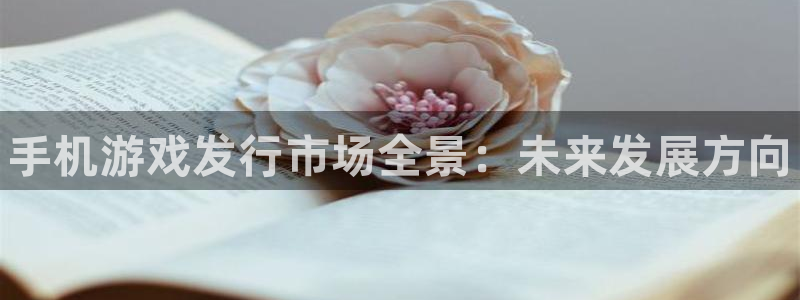 天辰平台怎么样