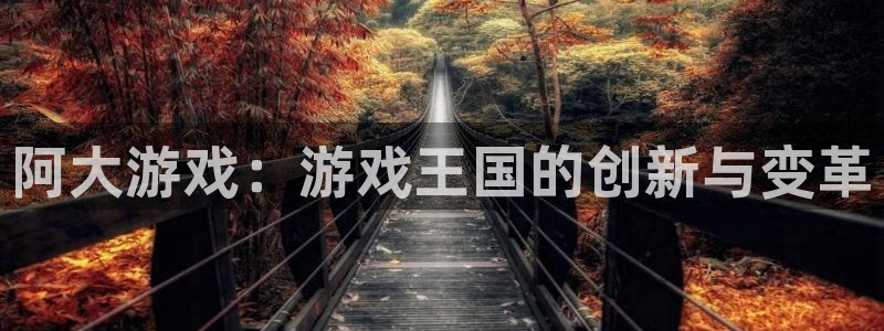 天辰测速登陆地址：阿大游戏：游戏王国的创新与变革