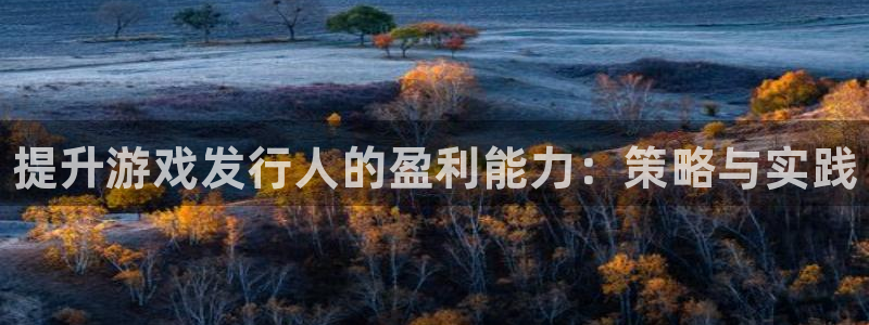 天辰注册141一 581：提升游戏发行人的盈利能力：策略与实践